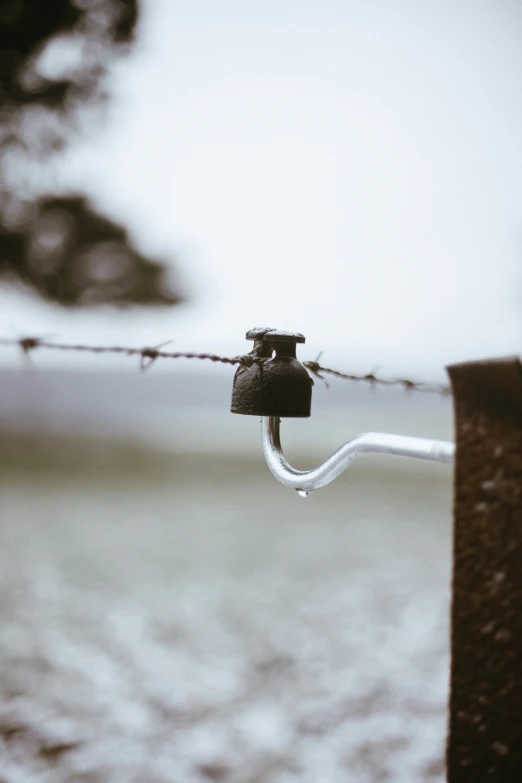 there is a tiny bell hanging on a barbed wire