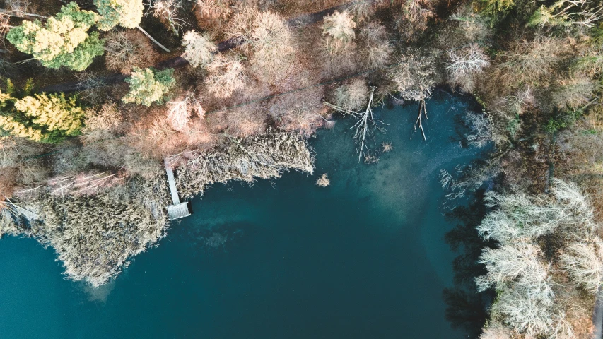 an aerial s of some water near trees