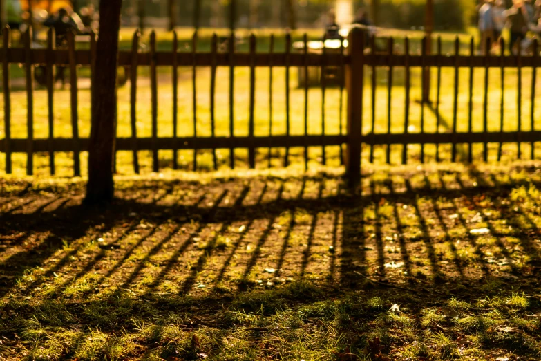 a grassy area with a metal fence and a park