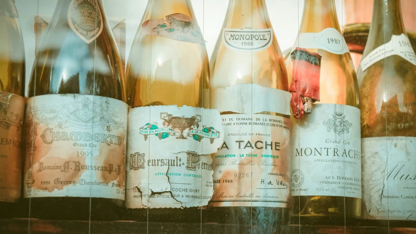 a number of wine bottles with labels in them