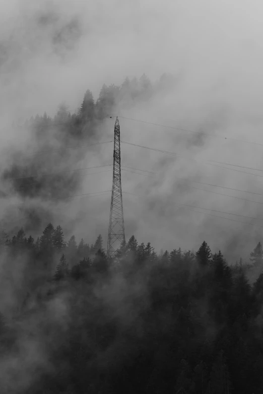 a black and white image of the sky, some trees and telephone poles