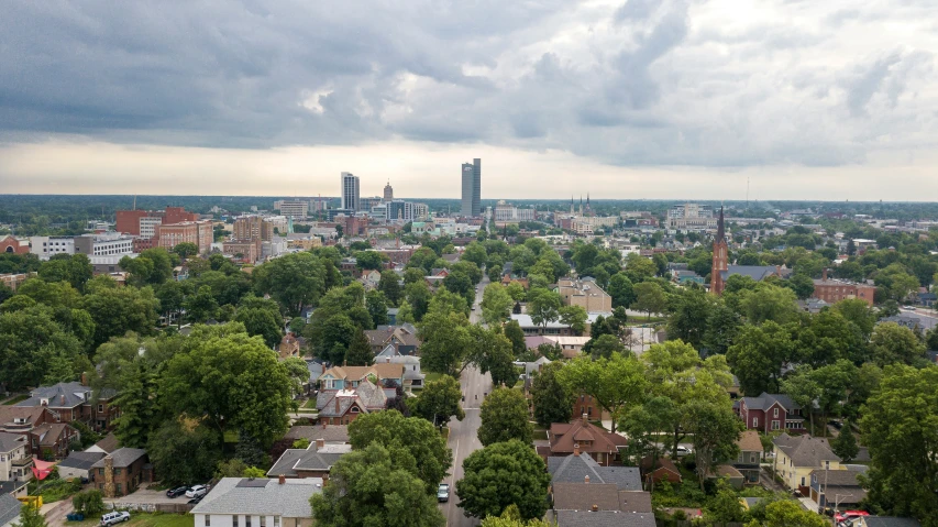 a city skyline, including a few houses and trees