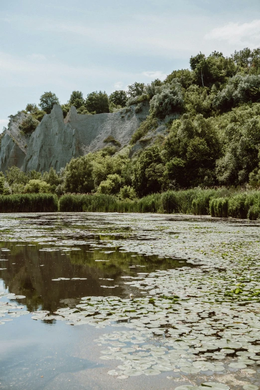 a small body of water with trees on the bank