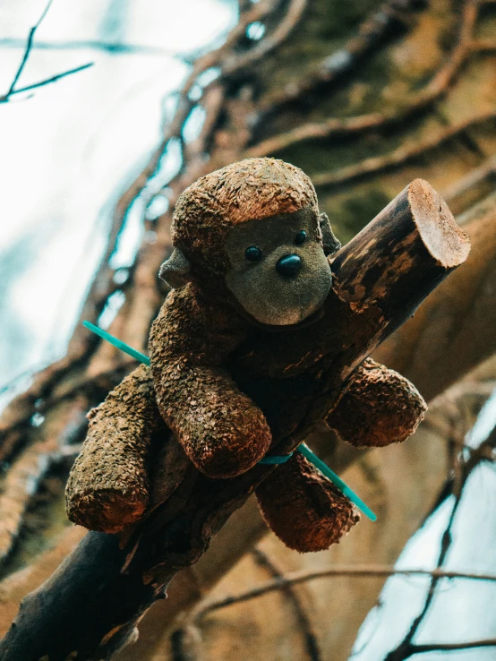 a small stuffed animal on a tree nch