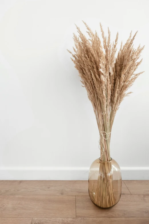 a close up of a dried plant in a vase