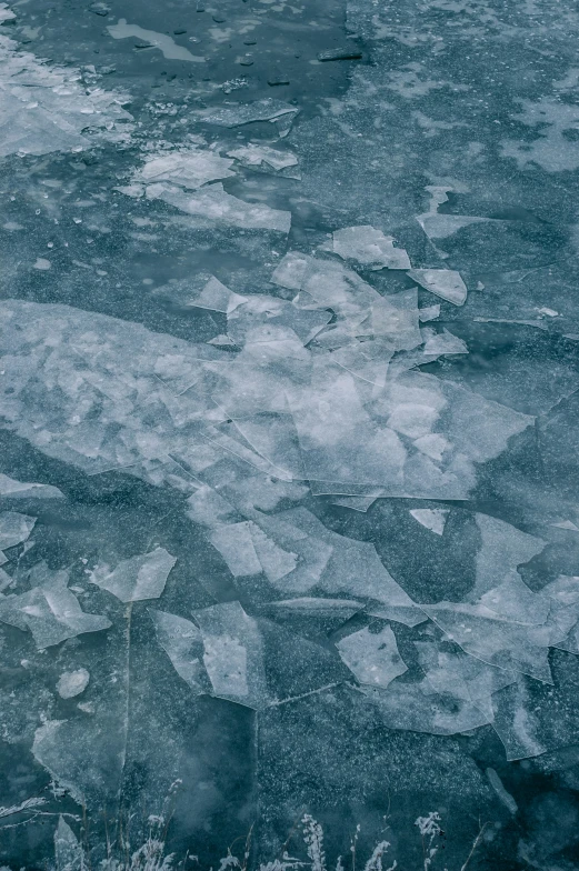 some ice that is floating on top of the water