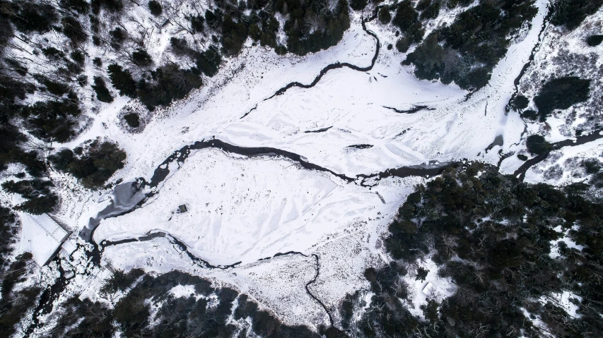an aerial view of some snow and trees