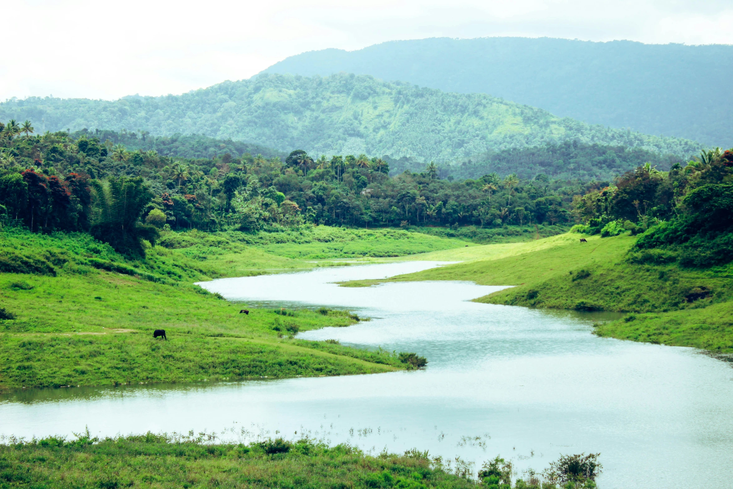 the green hills around a lake in the wilderness