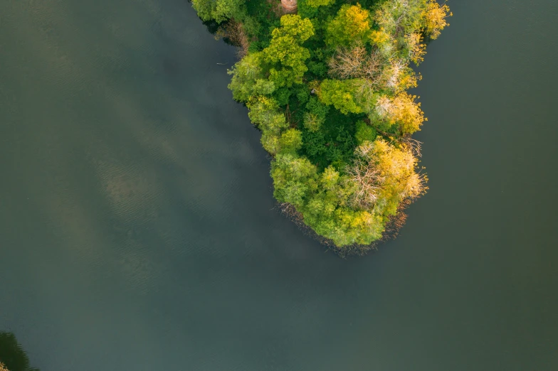 a small island surrounded by trees near the ocean