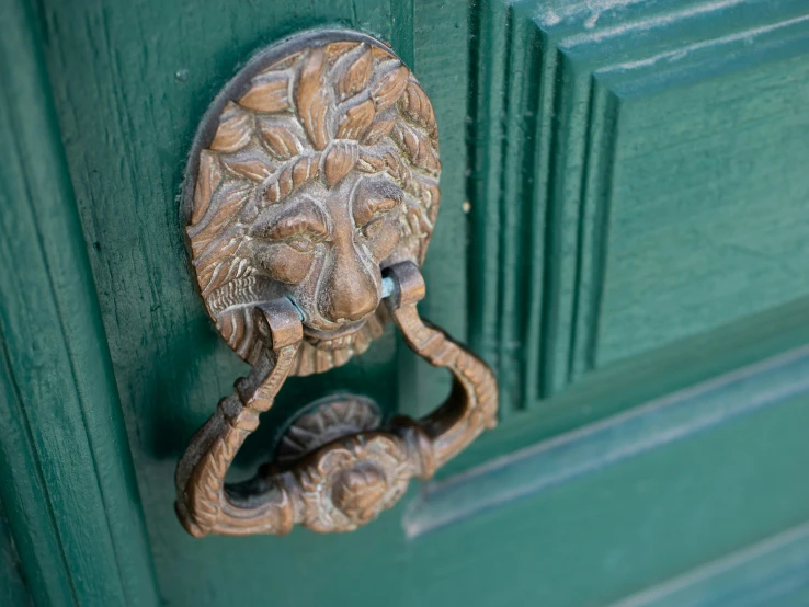 a door handle in the shape of a lion head