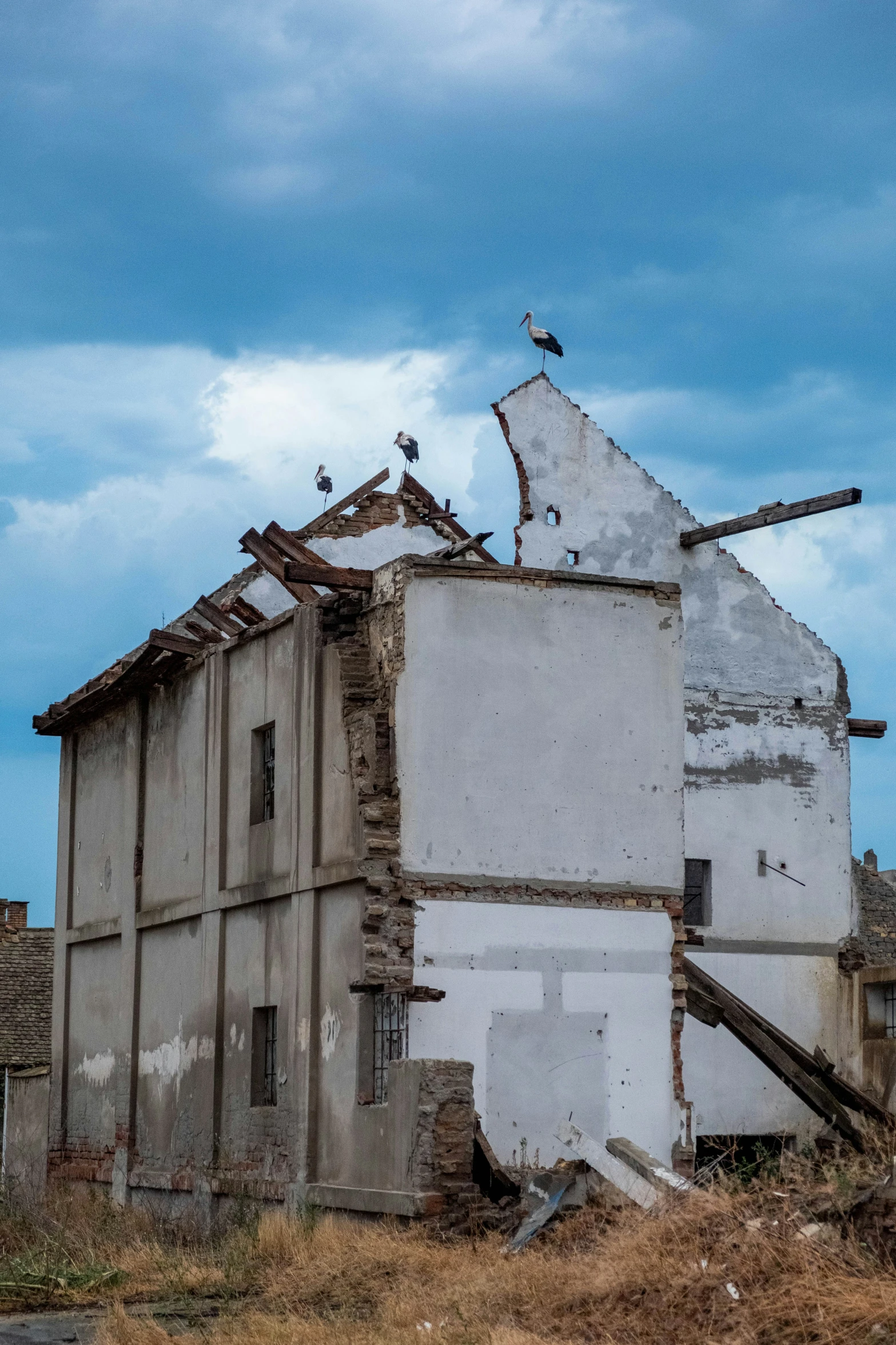 an old white building has several birds on top