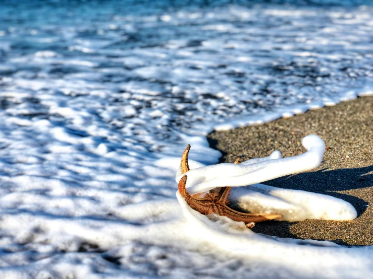 a closeup po of a pair of booties that have been left on the sand by the water