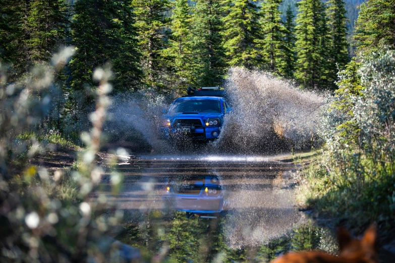 a jeep driving down a forest road next to trees