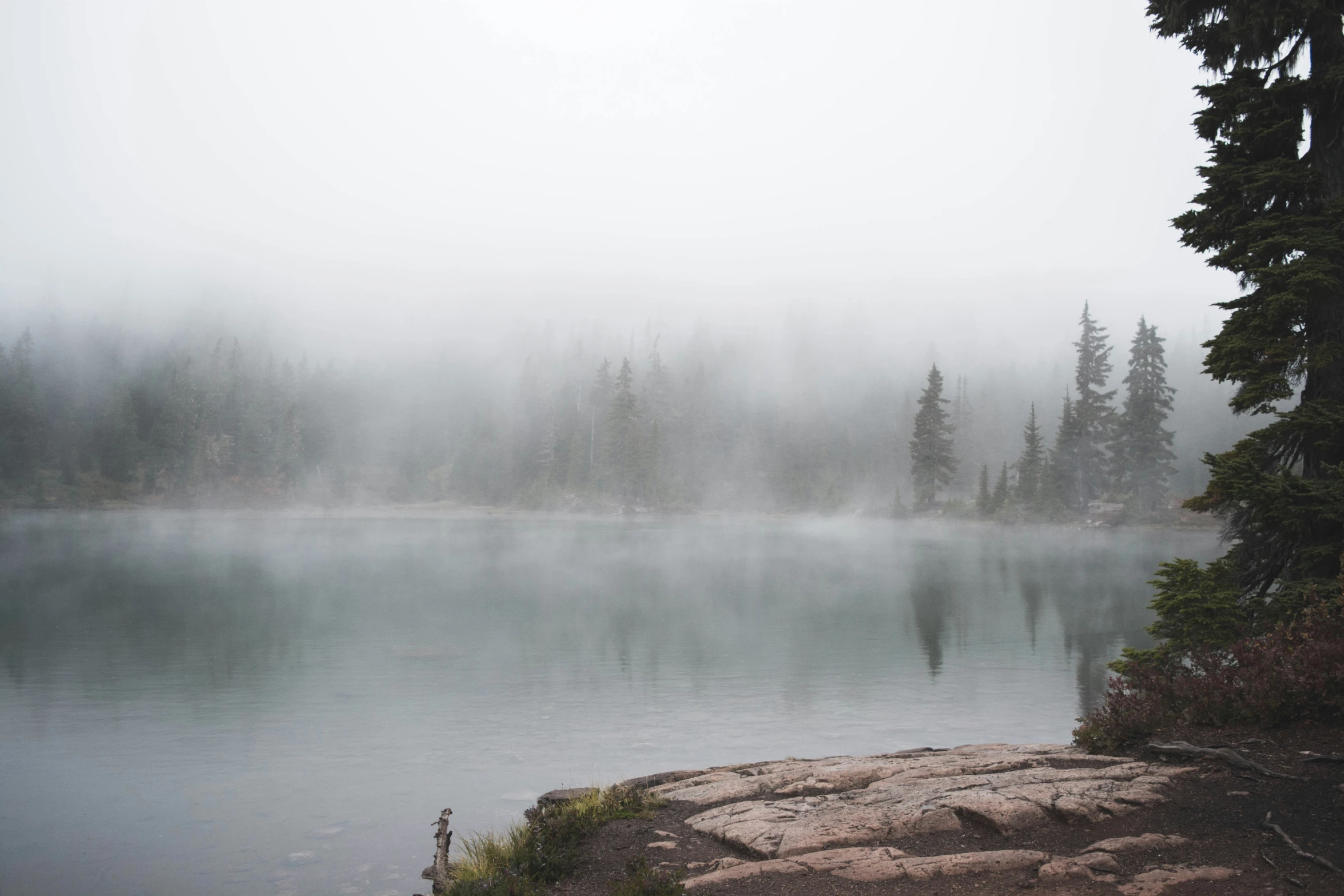 a lone boat in a foggy lake surrounded by trees
