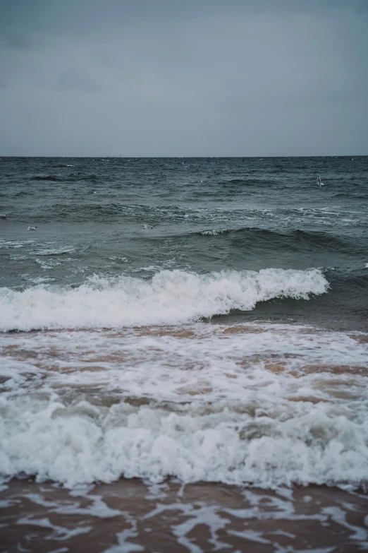 two surfers riding the waves in the ocean