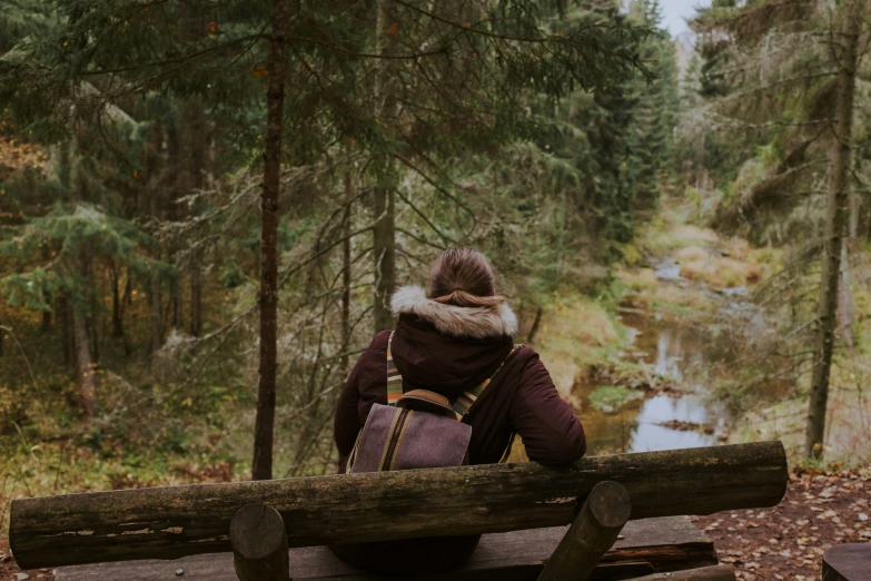 the person is sitting on a bench looking at the woods