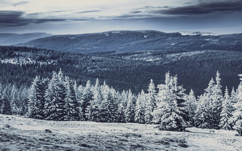 a view from a ski slope with trees on the hillside