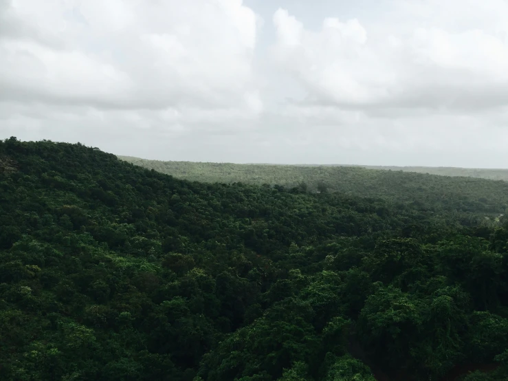 a view of the canopy of a mountain