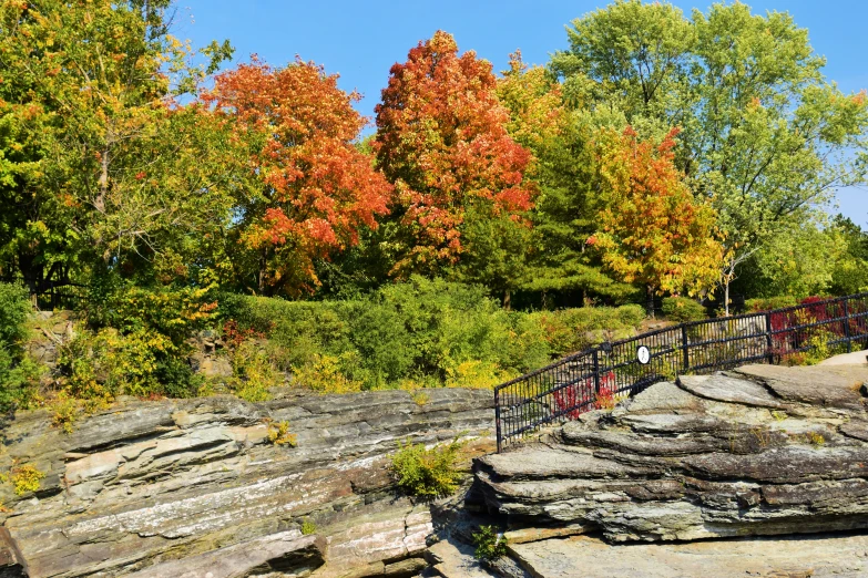 two people walking down the path next to trees