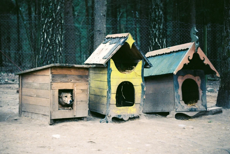 two wooden buildings with dog houses on the ground