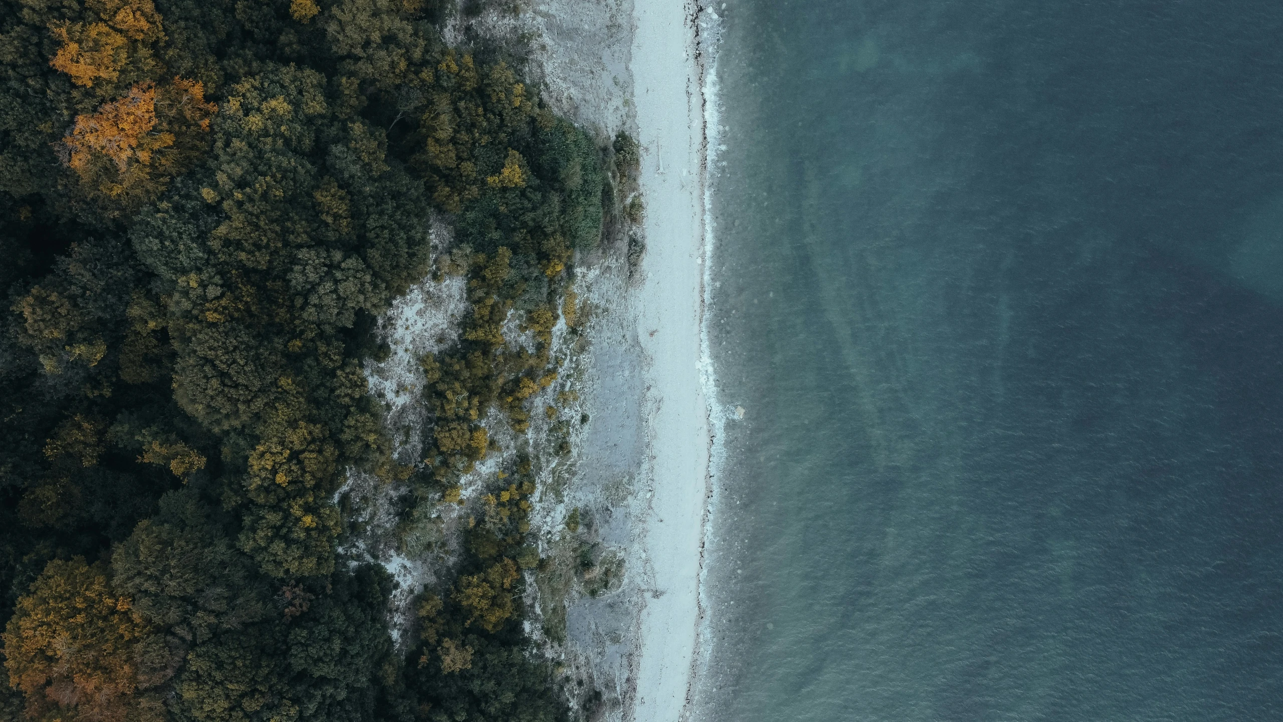 two sandy, white beaches next to trees