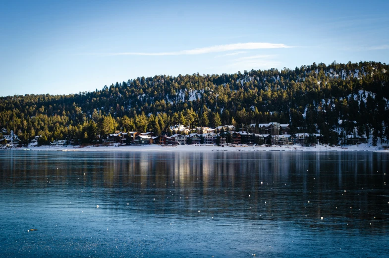 the view of the shore of a lake