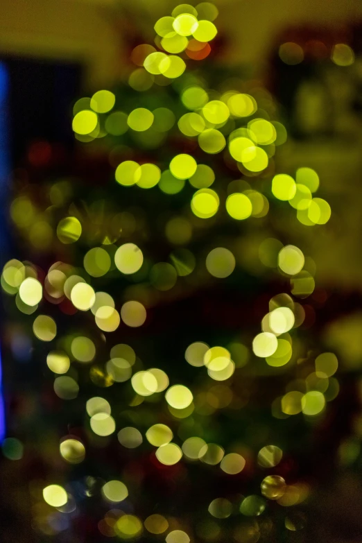 an illuminated christmas tree in a room