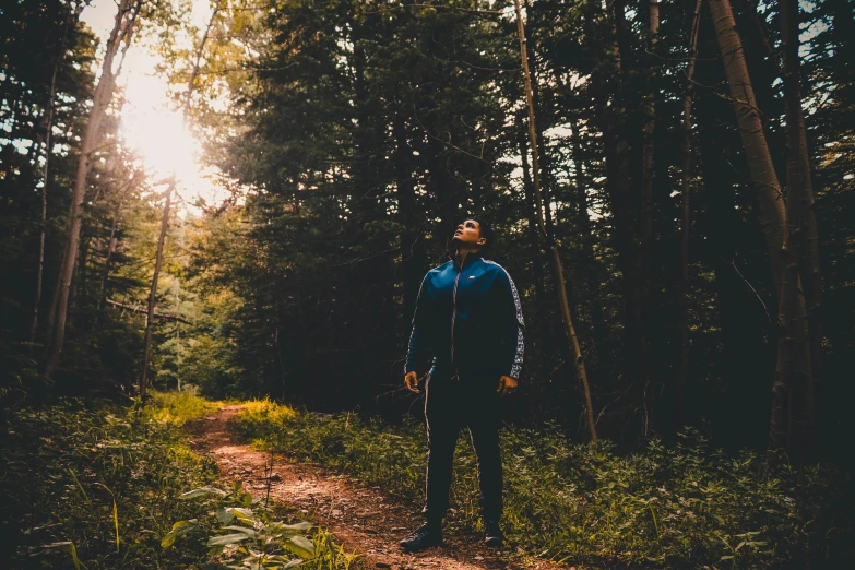 a man stands on a path in the middle of a forest