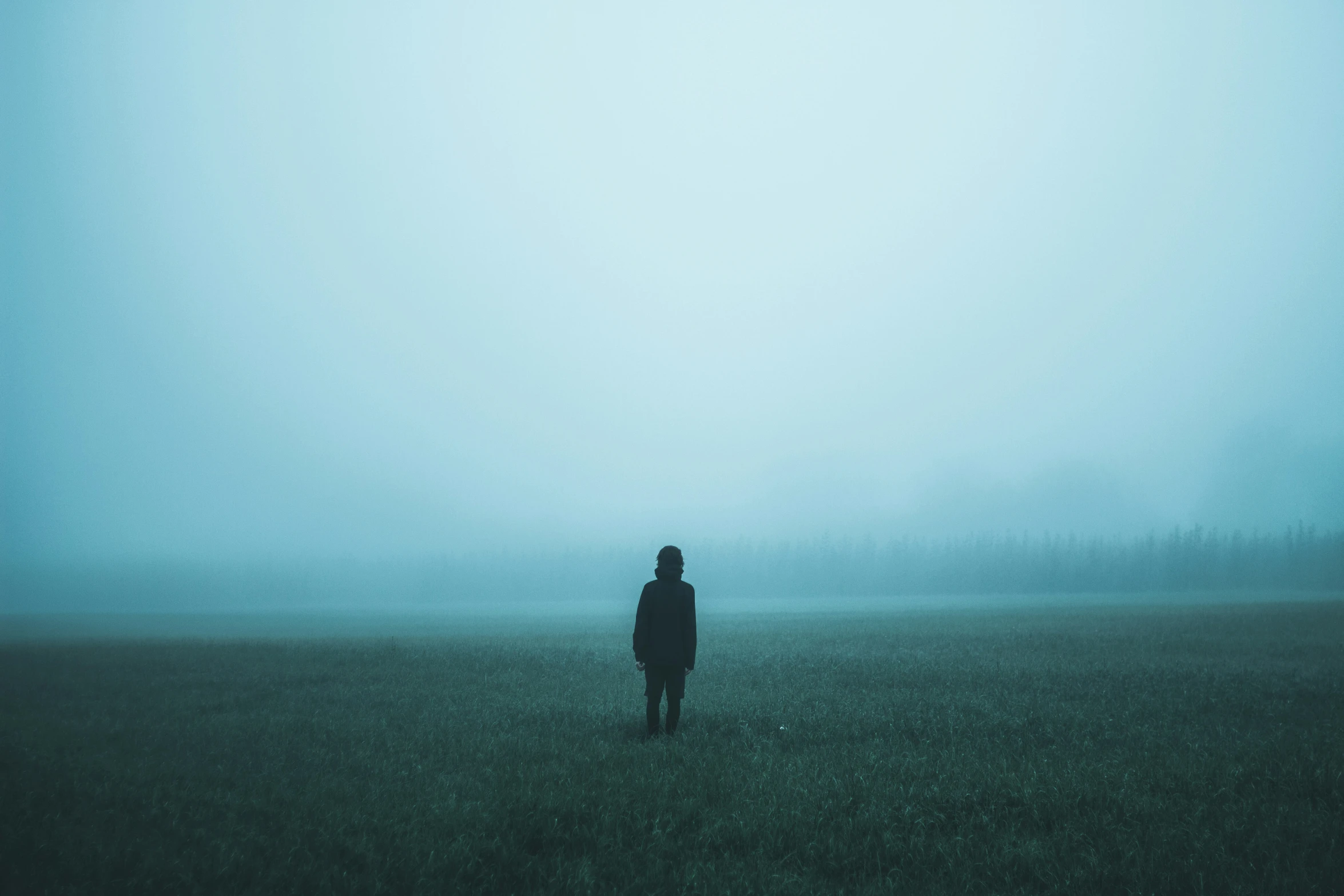 a person standing in the middle of a field on a foggy day
