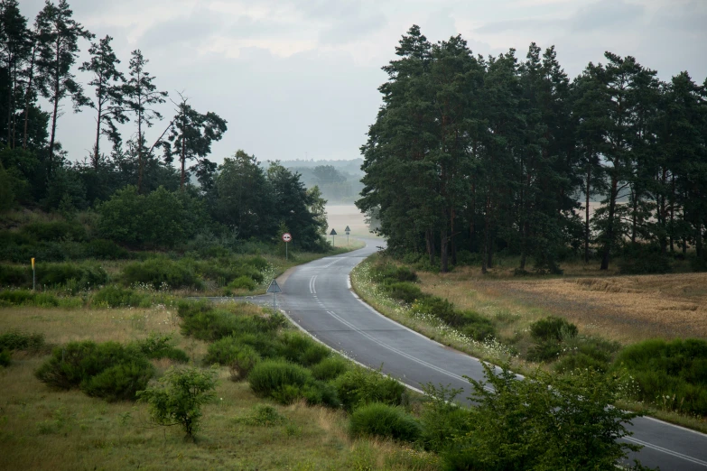 a winding road is pictured between some trees