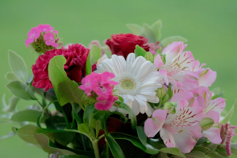 an arrangement of flowers in a vase against a green background