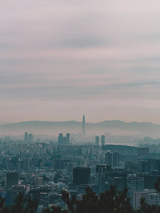 a large city skyline with trees in the foreground and fog rolling over