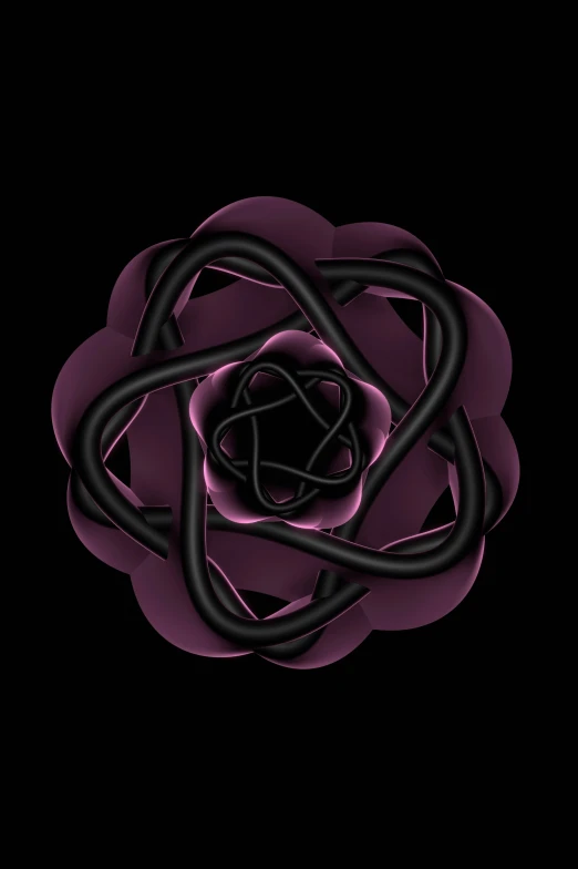 a black rose with several thin intersecting petals