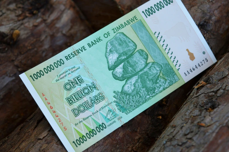 one billion indian note in the bark of a tree