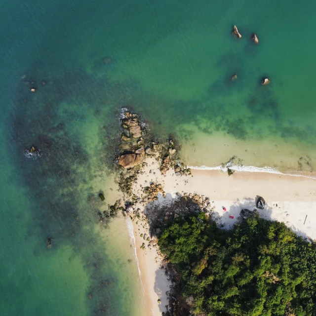 the beach is surrounded by many trees and clear water