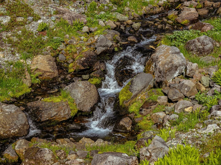 the rocks with water running between them are grass