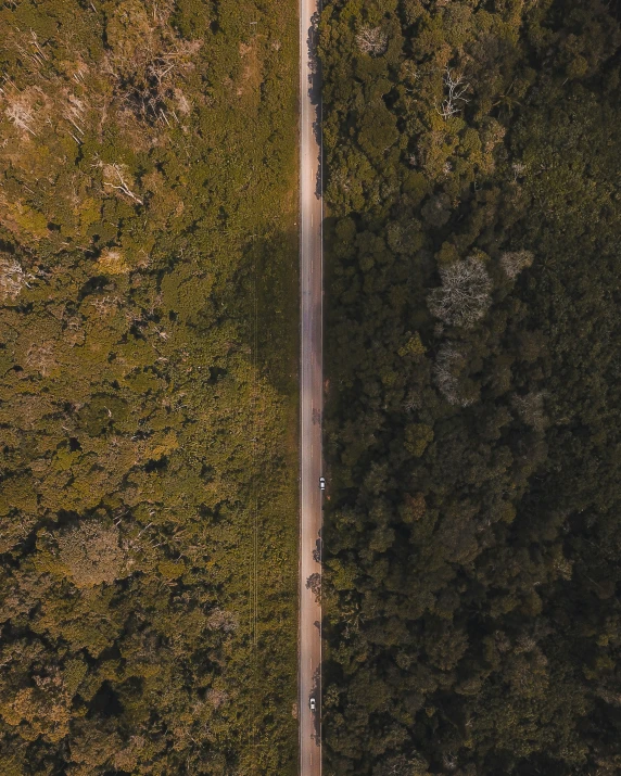 an aerial po of several trees and two roads