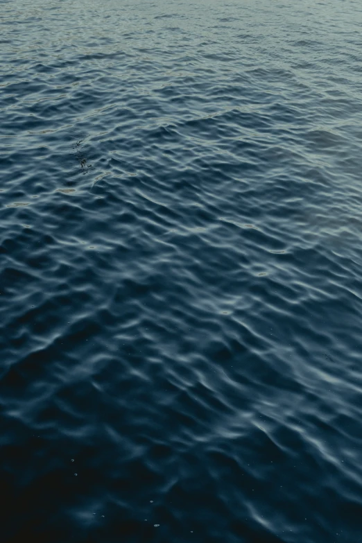 two surfers in the water with the ocean and a boat out to sea