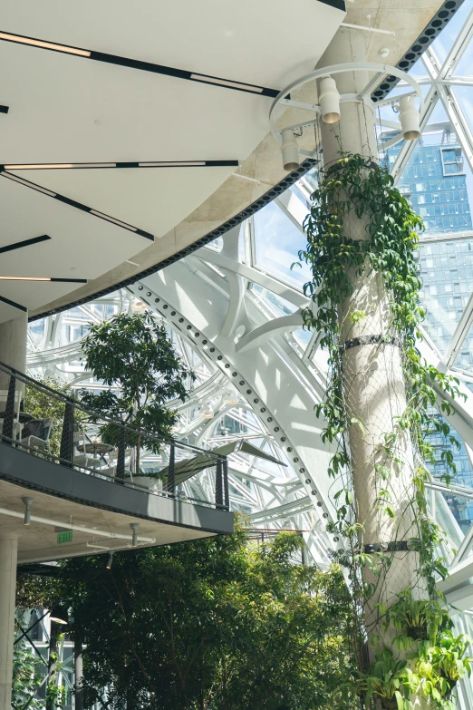 an atrium with plants growing on the ceiling