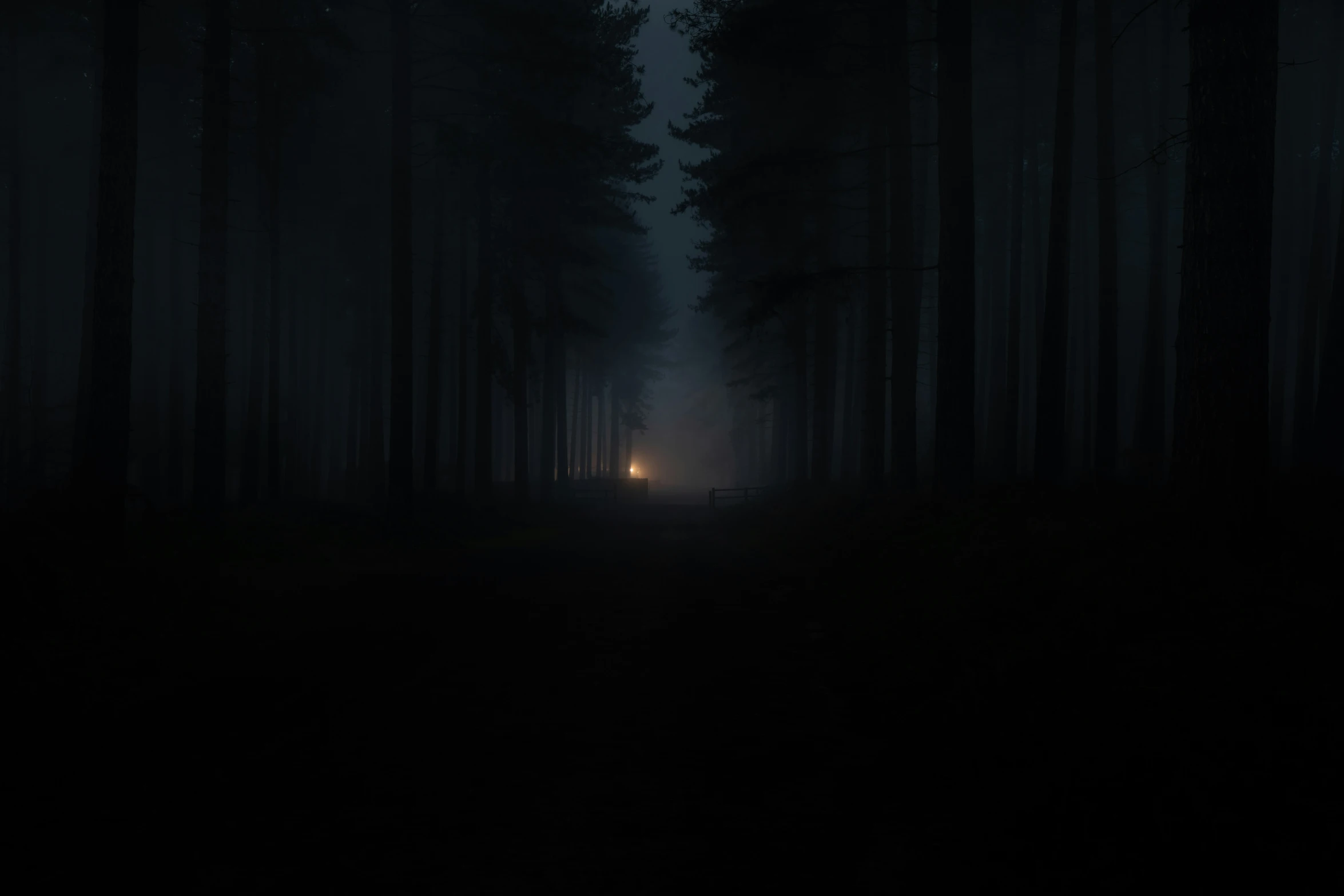 a pathway surrounded by dark trees at night with light shining