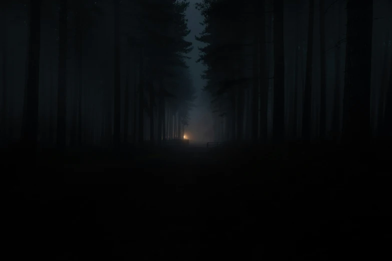 a pathway surrounded by dark trees at night with light shining