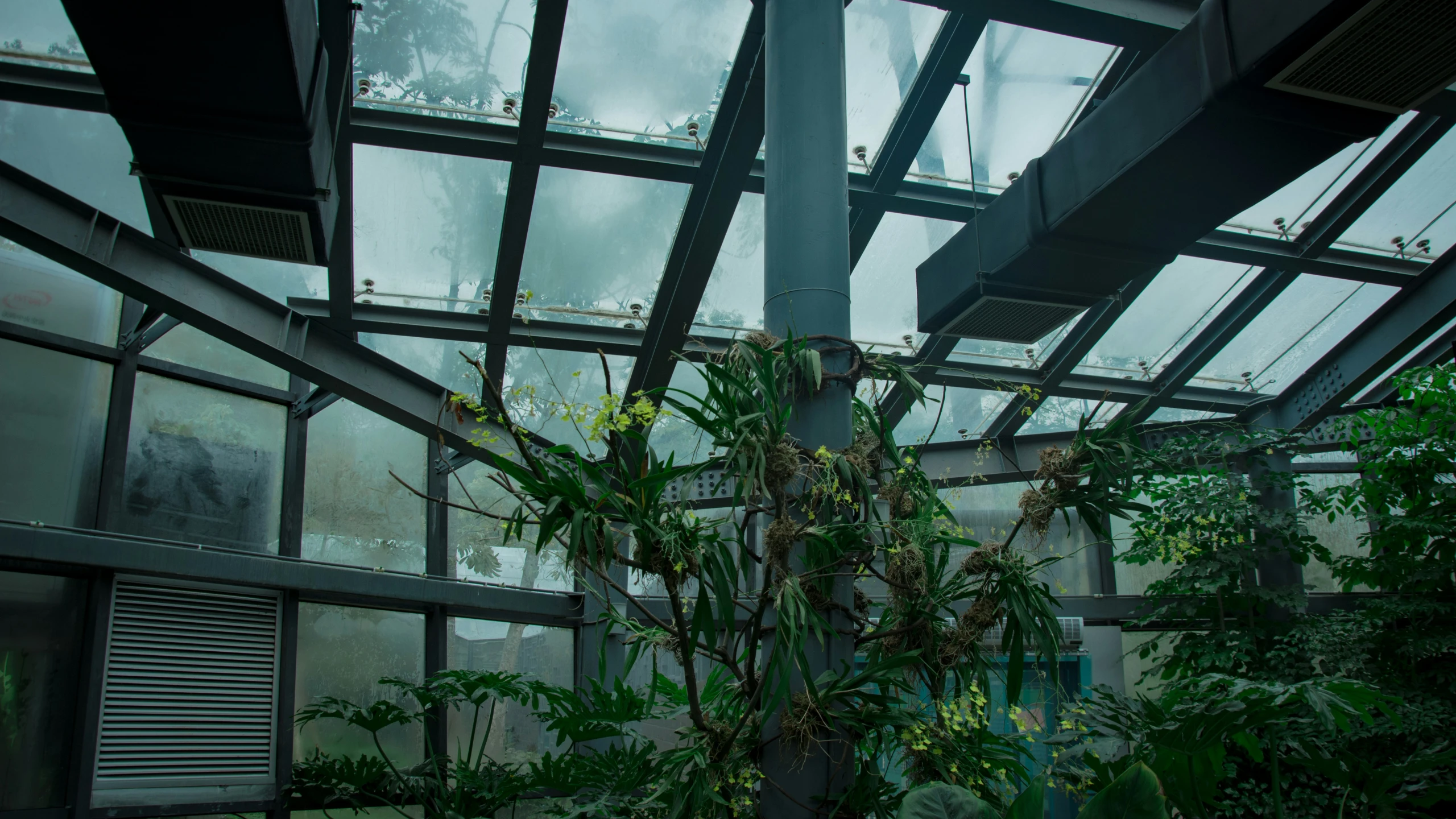 a tall glass building with various plants growing in it