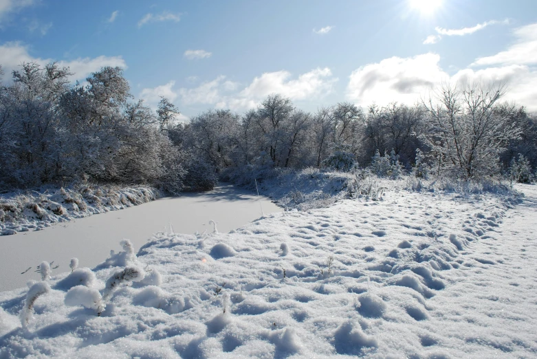 the sun is shining through the trees behind the snow covered field