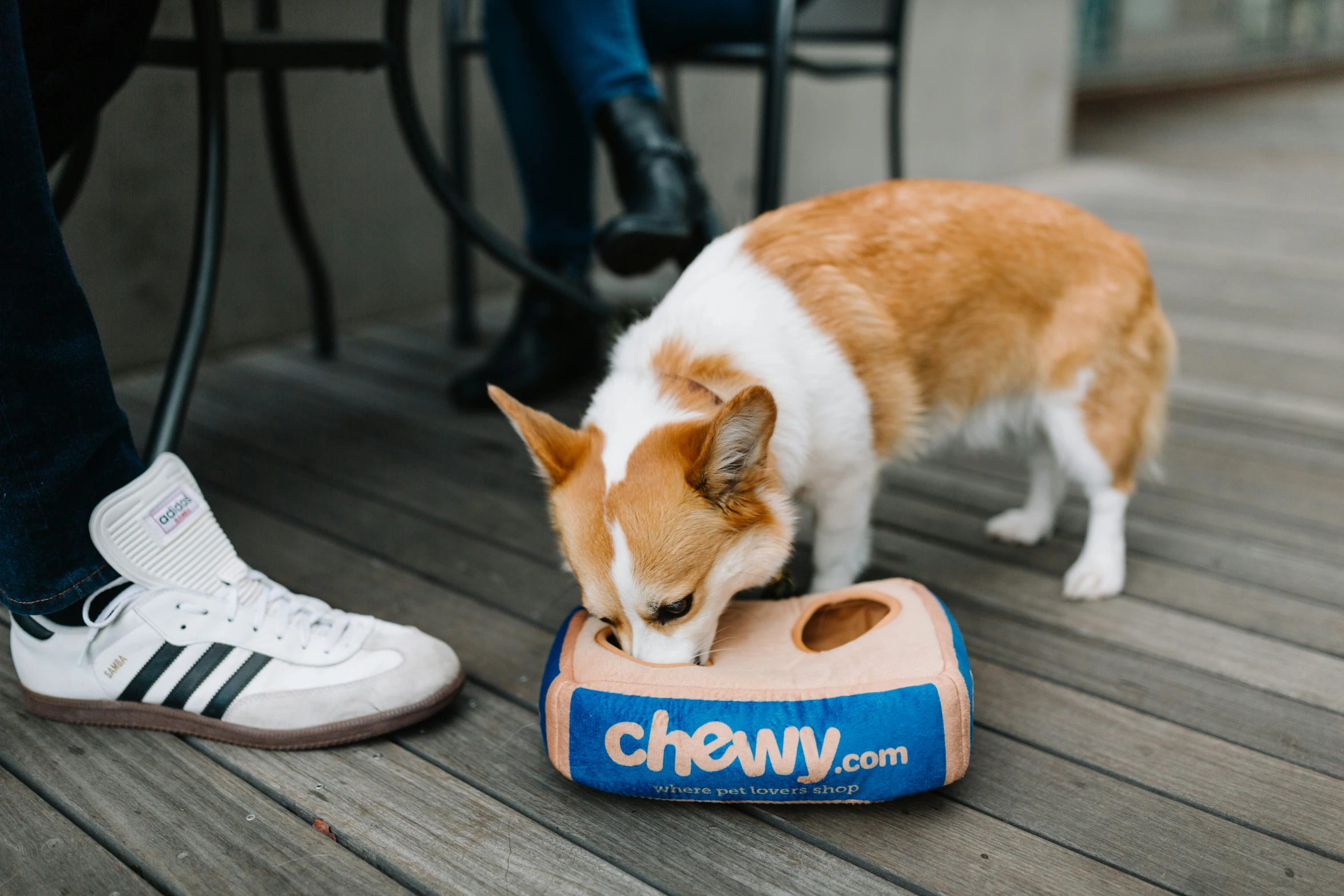 a dog chewing on a toy on a deck