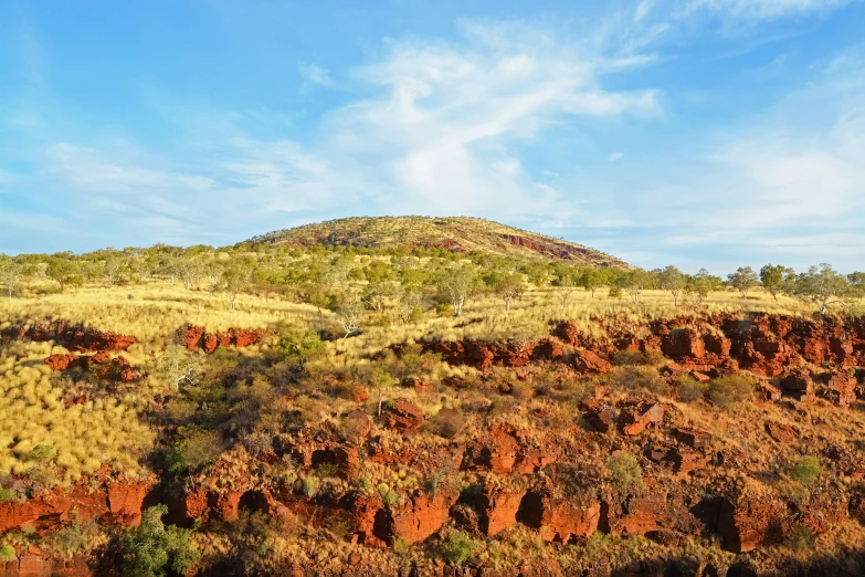 a desert is dotted with reddish colored vegetation