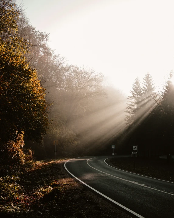 the light is shining from behind the trees