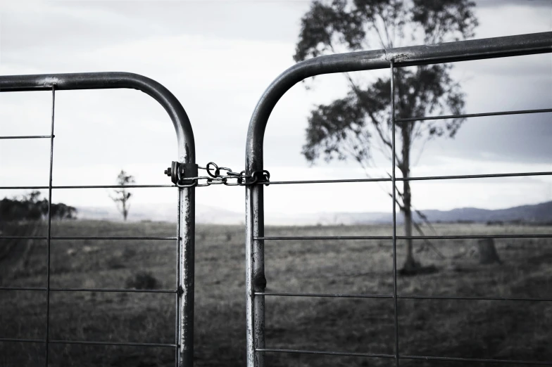 a black and white pograph of a metal fence