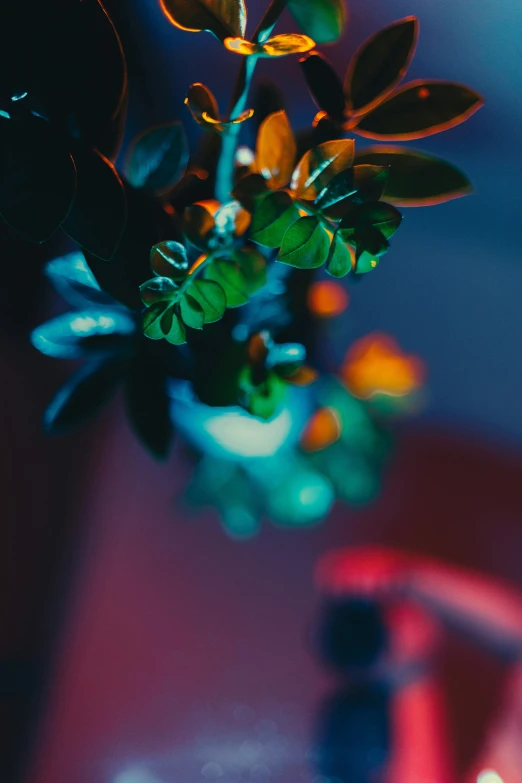 a potted plant in a green and yellow vase