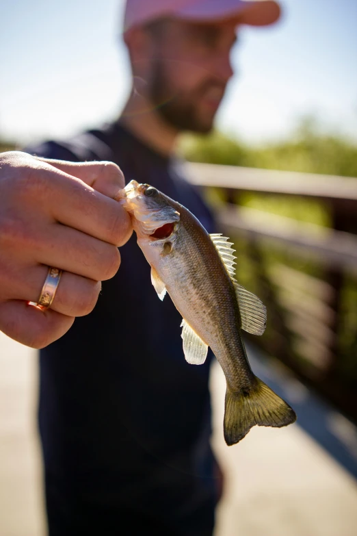 a man is holding a small fish in his hands