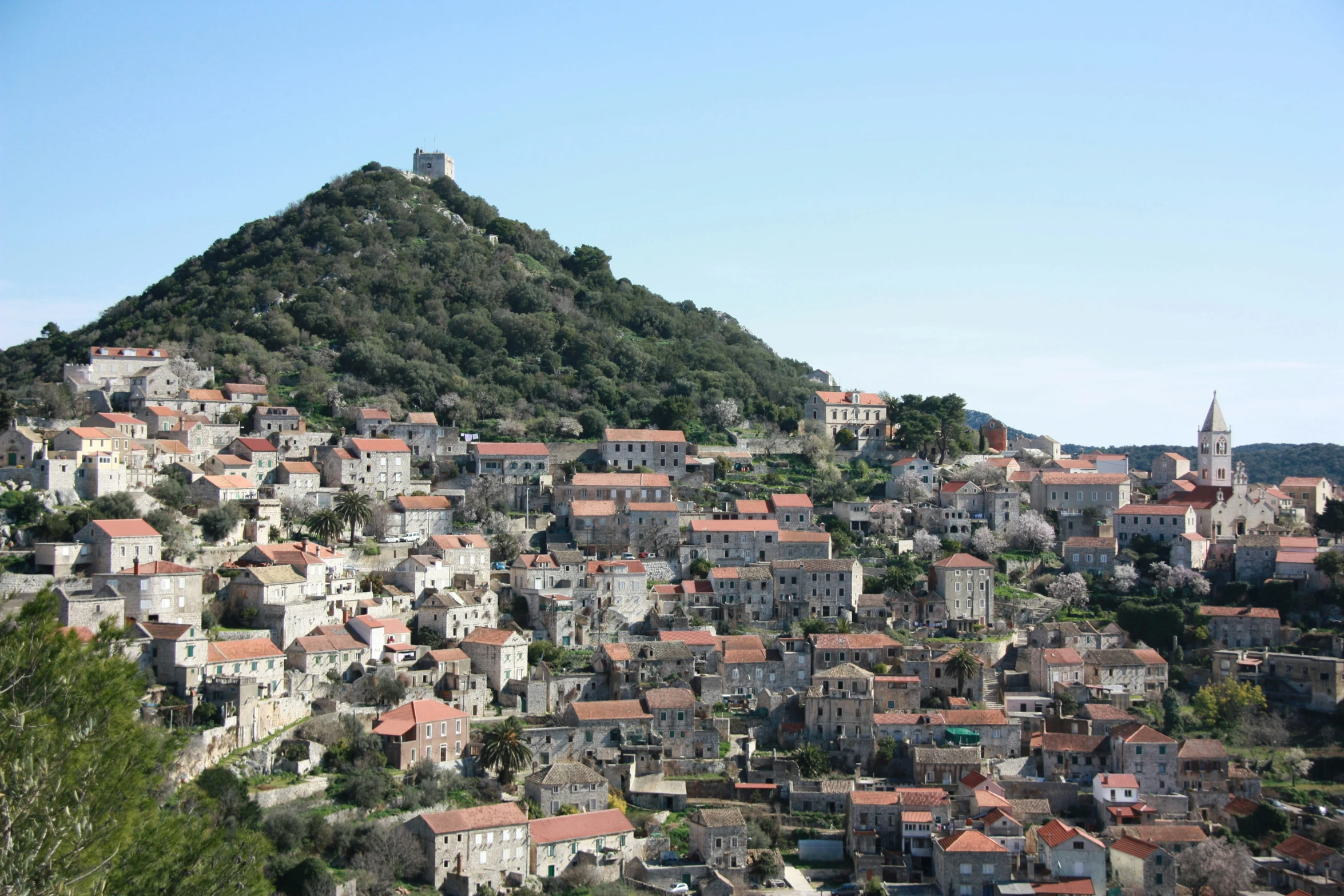 a city that is below a hill covered with trees